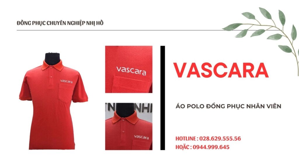 Áo thun Vascara